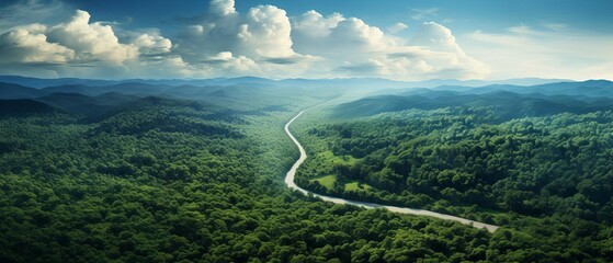 road to sustainability, green forest in aerial perspective