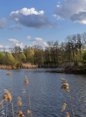 Raszyńskie ponds on a calm spring day, Masovia, Poland
