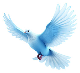 Obraz premium PNG Animal bird blue dove.