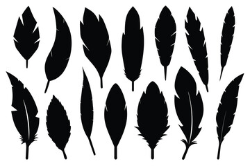 Set of bird feather black Silhouette Design with white Background and Vector Illustration