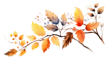 PNG Pattern autumn nature plant.