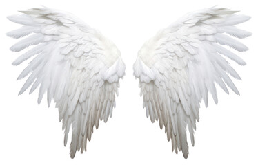 PNG Angel bird archangel feather.