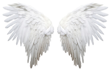 Obraz premium PNG Angel bird archangel feather.