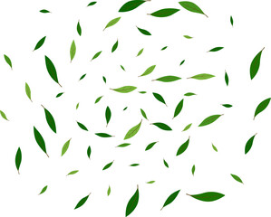 green leaf explosion element design nature spring, fresh ecology organic decoration