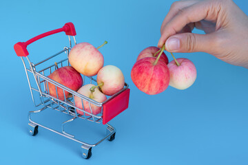 Young female hands with group of red small apples near the shopping trolley on blue background.Concept of buying and choosing apples or harvesting eco garden fruits for sell and delivery