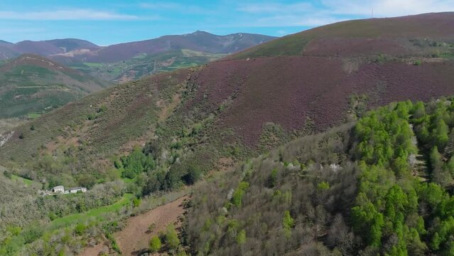 Aerial View Of Mountain And Forest In Daytime In Galicia, Spain.