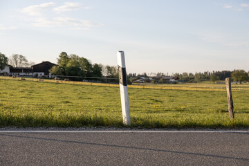 Leitpfosten am Straßenrand einer Landstraße