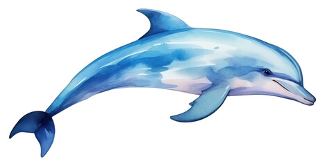 Fototapeta premium PNG Dolphin animal mammal fish.