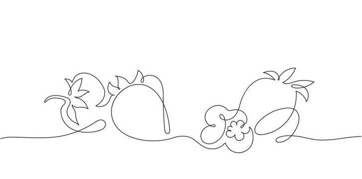 Graphic simplified strawberry with leaves in one line vector