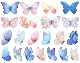 Butterfly collection. Watercolor illustration. Colorful Butterflies clipart set. Gray violet butterfly. Baby shower design elements. Party invitation, birthday celebration. Spring or summer decoration
