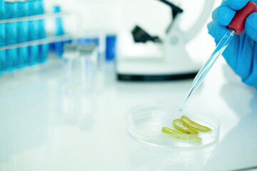 Medical or scientific researcher or man doctor looking at a test tube of clear solution in a laboratory