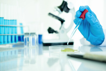 Medical or scientific researcher or man doctor looking at a test tube of clear solution in a laboratory