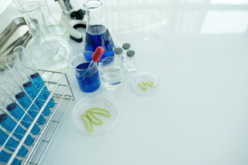 Medical or scientific researcher or man doctor looking at a test tube of clear solution in a laboratory