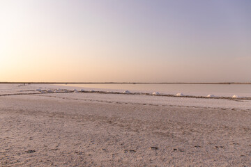People collect salt by putting it in bags. Neftchala. Azerbaijan.