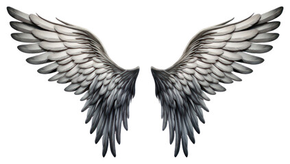 Fototapeta premium PNG Flying bird feather pattern.