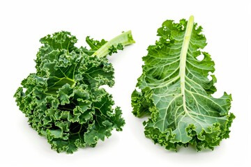 Fresh green kale leaves isolated on white