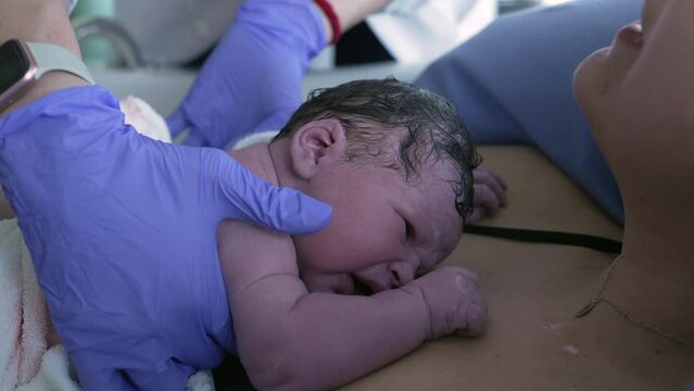 Doctor inspecting newborn baby during initial seconds of life crying on mother's chest, feeling mom's skin right after giving birth, first cries of infant during childbirth