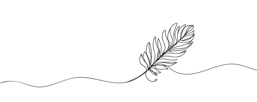 recommend clip art: Continuous hand drawn for bird feather on white background. Abstract vector illustration. Vector