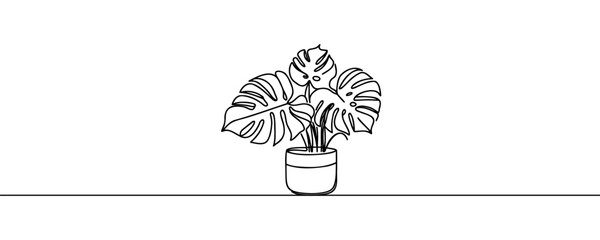 Monstera house plant in pot one line continuous drawing vector illustration. Hand drawn linear icon