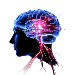 Obraz premium neon light effect human brain nerve tracts based on magnetic resonance imaging High quality photo isolated on transparent png background