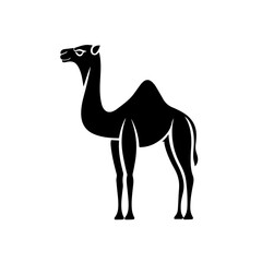 Asian Camel