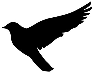 black silhouette of a bird without background