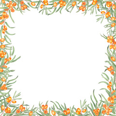 Sea buckthorn branch with orange berries. Branch with Fresh ripe berries and leaves. Hand drawn watercolor illustration isolated on white background. 