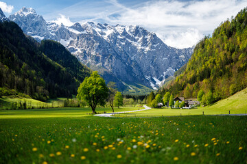 Logar Valley panoramic view of the meadow with Slovenian Alps,