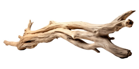 Fototapeta premium PNG Driftwood sculpture kangaroo wallaby.