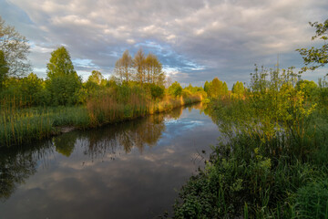 landscape with lake