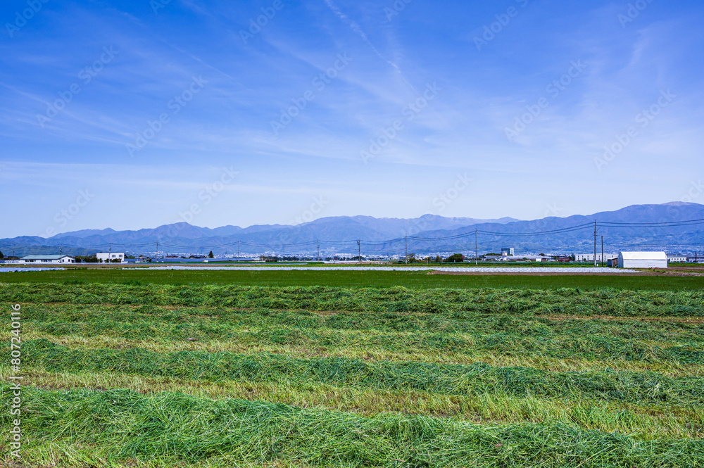 Wall mural 牧草と山岳風景　松本市