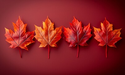 Fototapeta premium Vibrant Autumn Maple Leaves Arrangement on a Red Background