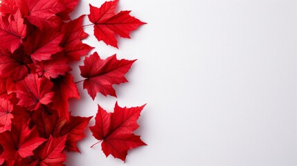 Vibrant Red Autumn Maple Leaves on a Pristine White Background for Elegant Wallpaper Design, copy space