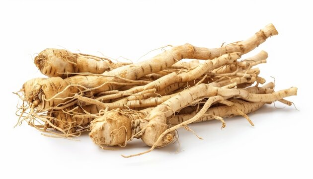 Siberian ginseng known as Eleutherococcus senticosus is a medicinal herb often used in Chinese medicine with a history of folklore use