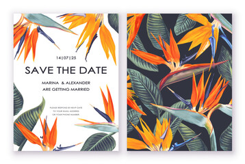 Two templates for postcards, flyers, or posts in social networks, place for text. Design with Strelitzia regal, tropical flowers and leaves on white and dark background. A South African plant