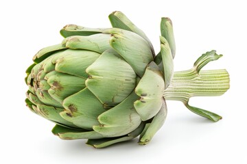 Studio shot of artichoke on white background