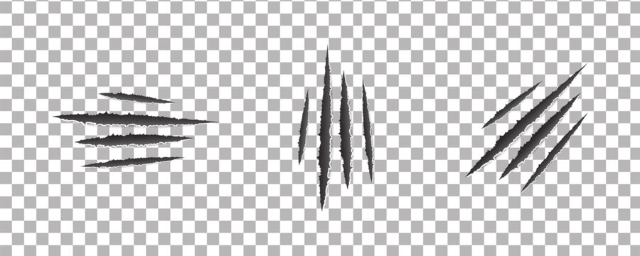 Claws scratches vector isolated on transparent background. (cat, tiger, lion, bear) illustration.