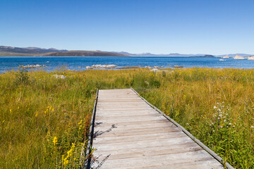 Obraz premium a boardwalk in the middle of a beautiful grassland over a marsh area at the mono lake, california