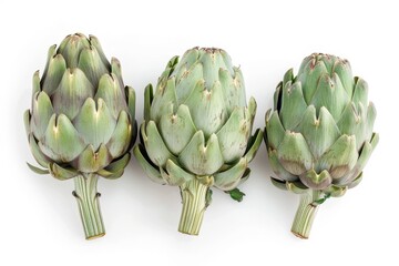 Obraz premium Three artichokes isolated on a white background