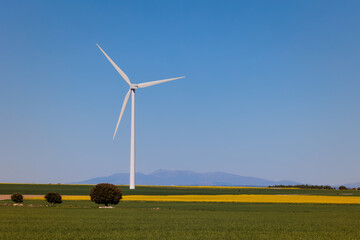 Fototapeta premium windmills of wind energy in the middle of the countryside with beautiful colors and clear blue sky, renewable energy