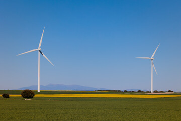 windmills of wind energy in the middle of the countryside with beautiful colors and clear blue sky,...