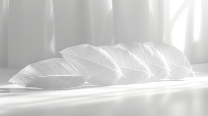  A white leaf rests atop a white table near a sunlit window