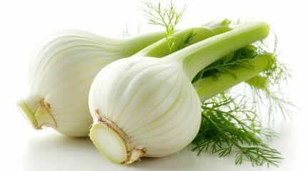 Fresh organic fennel bulbs with green leaves isolated on white background.