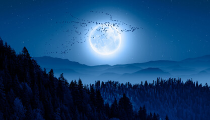 Night view of flock of migration birds  flying over a blue full moon Blue mountains forest in the background - Migration of birds during autumn "Elements of this image furnished by NASA"