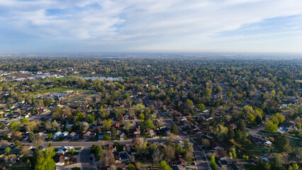 field of flowers and blue sky