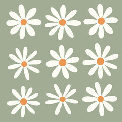 Vector set of daisy flower