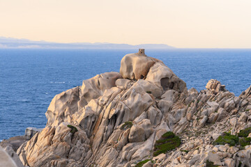 sea and rocks