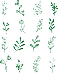 Vector collection of hand drawn plants. Botanical set of sketch flowers and branches