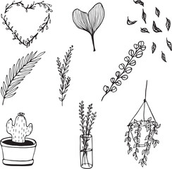 Naklejka premium Vector collection of hand drawn plants. Botanical set of sketch flowers and branches