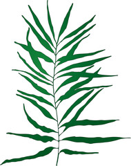 Obraz premium Vector branches and leaves. Hand drawn floral elements. Vintage botanical illustrations